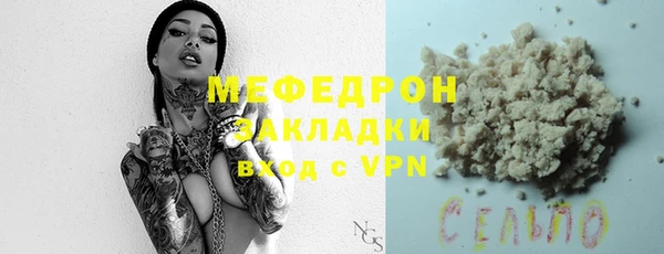стаф Тайга