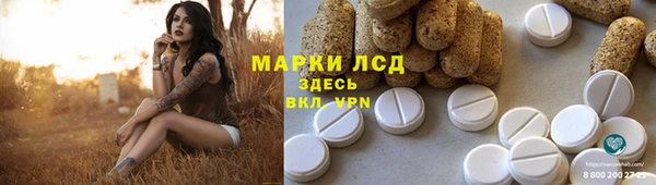индика Снежинск