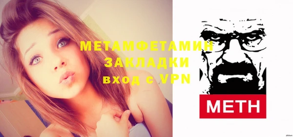 стаф Тайга