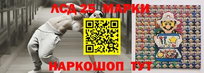гидропоника Новозыбков