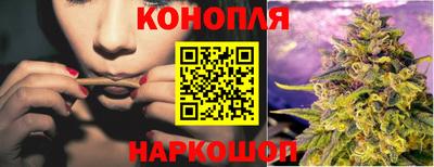 гидропоника Новозыбков