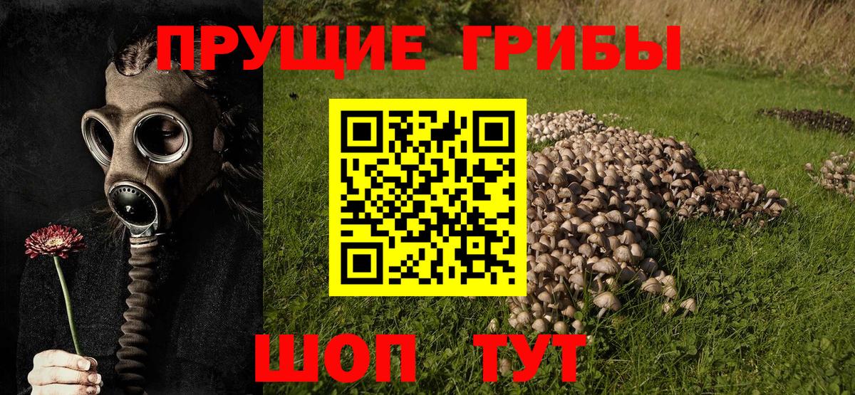 Псилоцибиновые грибы мухоморы  Вход с VPN  Южно-Сахалинск 